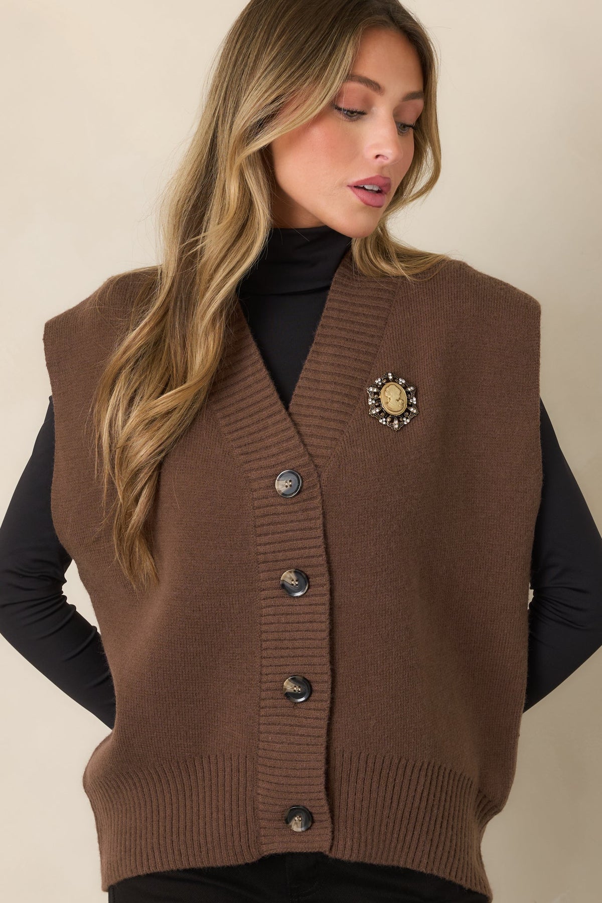 Well Versed Brown Knit Sweater Vest