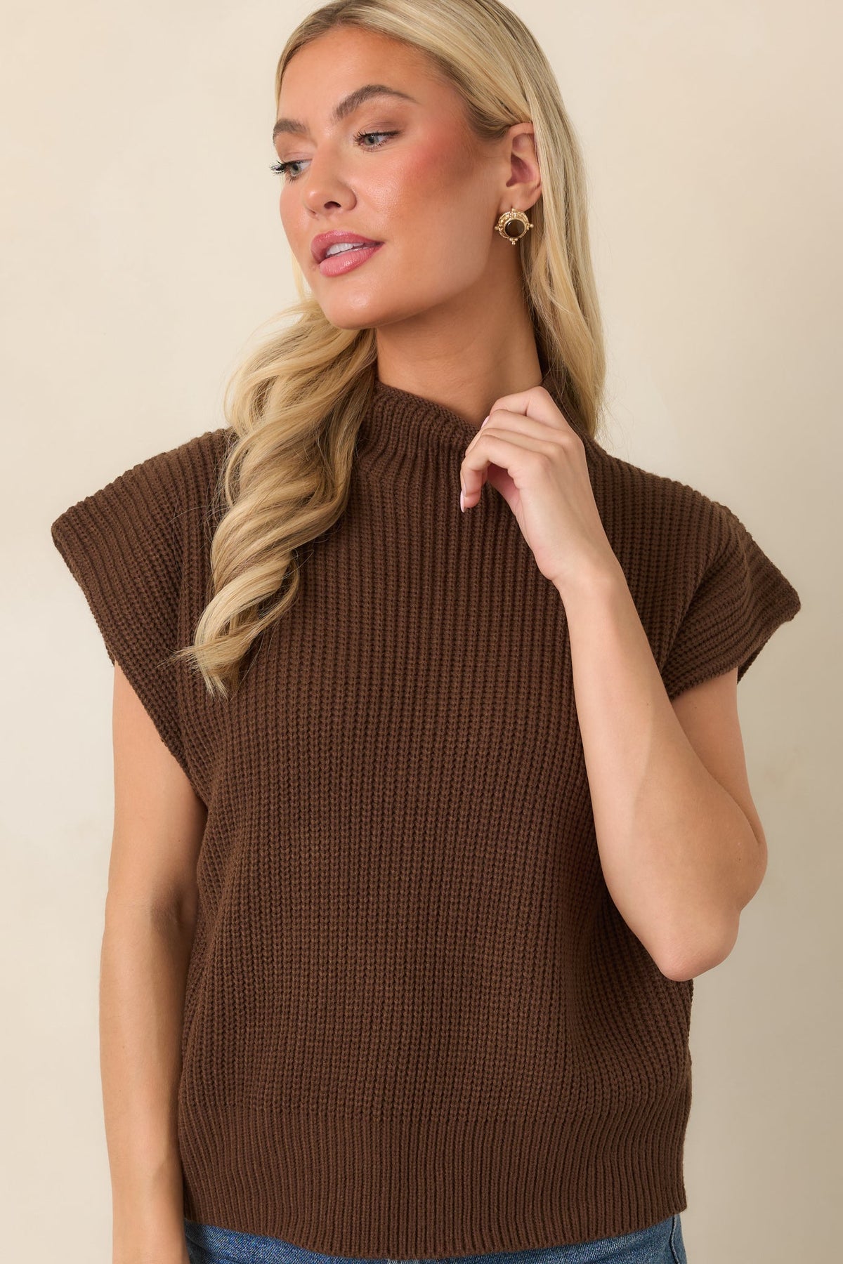 En Saison Jane Brown Mock Neck Sweater Vest